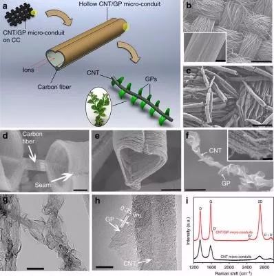 Graphene-info：电极？树枝？超级电容也搞仿生学？
