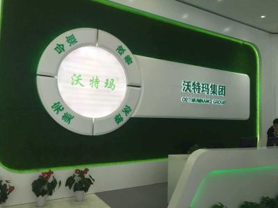 锂电巨头沃特玛缘何遭20亿债务缠身？