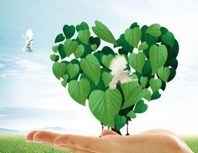 环保督察“回头看” 钛白粉价格可望稳中有升