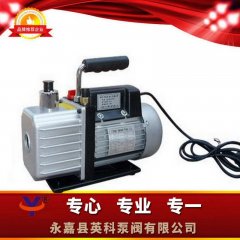XZ直联旋片式真空泵的图片
