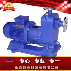 ZCQ自吸式磁力泵的图片