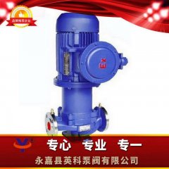 CG管道磁力泵的图片
