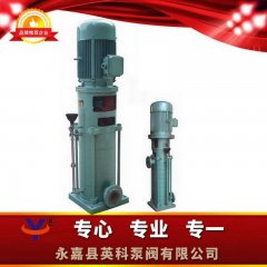 DL立式多级泵的图片