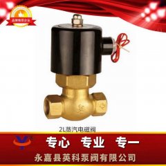 2L系列电磁阀的图片