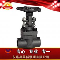 Z61H锻钢闸阀的图片