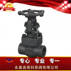 Z61Y锻钢承插焊闸阀的图片