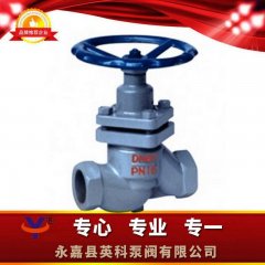U11SM内螺纹柱塞阀的图片