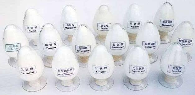 探究原料药断供的背后：药企深陷环保大风暴
