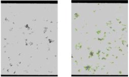 151811_665466_procont.jpg 1552029468(1).jpg