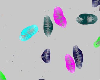 152001_331067_procont.jpg 1552029587(1).jpg