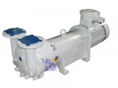 2BV6121水环真空泵的图片