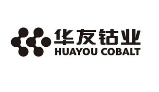 华友钴业陈雪华：并购重组前景可期 全产业链一体化优势将逐步显现