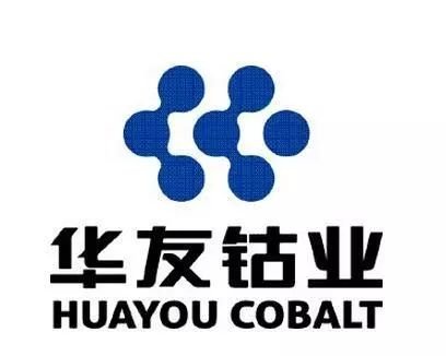 华友钴业拟7.73亿收购华海新能源 加码新能源锂电材料产业