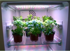植物生长箱的图片