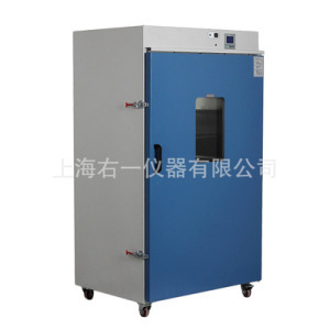 300度DHG-9625A立式大型实验室恒温鼓风干燥箱的图片
