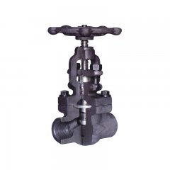 内螺纹与承插焊截止阀的图片