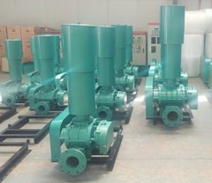 SR系列-80型三叶罗茨鼓风机的图片