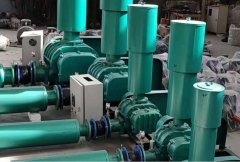 SR系列-100型三叶罗茨鼓风机的图片