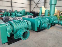 SR系列-200型三叶罗茨鼓风机的图片