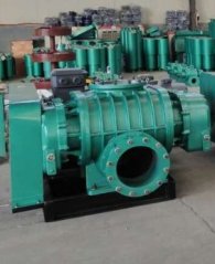 SR系列-250型三叶罗茨鼓风机的图片