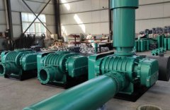 SR系列-350型三叶罗茨鼓风机的图片