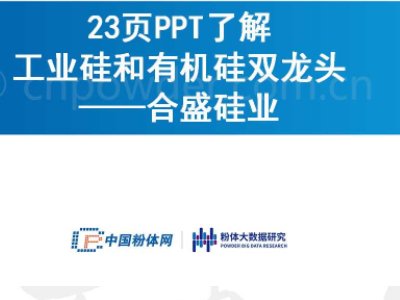 23页PPT了解工业硅和有机硅双龙头——合盛硅业