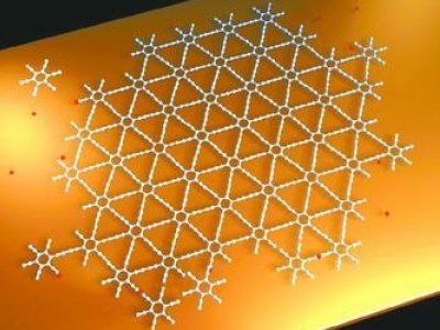 走近二维碳石墨炔研究集体——碳材料家族新成员“中国造”