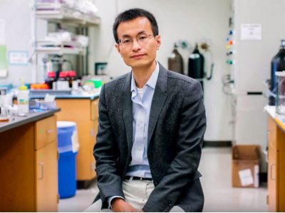 新晋中国科学院外籍院士，纳米微世界的“巨人”—杨培东