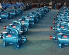 2SK系列两级水环真空泵