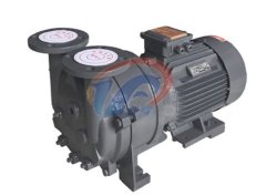 2BV系列水环式真空泵的图片