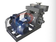 2BE3系列水环式真空泵的图片