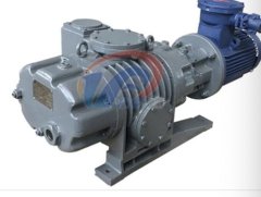 ZJP罗茨真空泵的图片