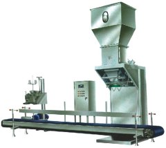 DCS-50自动定量包装秤(单)的图片