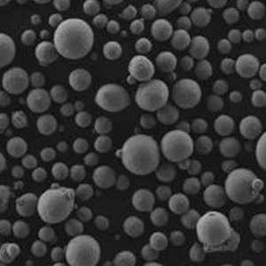 100812_418114_procont.jpg 2.jpg