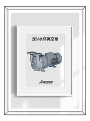 2BV水环真空泵的图片