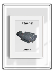 罗茨真空泵的图片