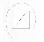 动物给药导管的图片