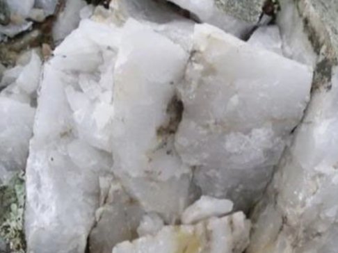山东金晶科技股份与您相约凤阳！光伏行业用石英砂技术与市场交流大会