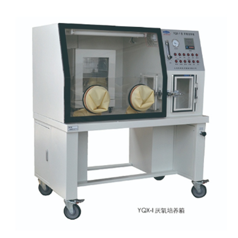 博科高温湿热灭菌系列二氧化碳培养箱QP-80的图片