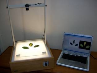 SI 700根系图像分析系统的图片