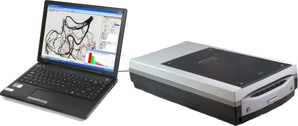 LA-S植物根系图像分析系统的图片