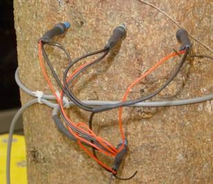 SF-L探针式植物茎流测量系统的图片