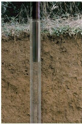 QT-600根系生长监测系统的图片