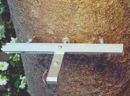 QT-2010植物生理生态系统的图片