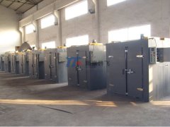 DGF系列电热鼓风干燥箱的图片