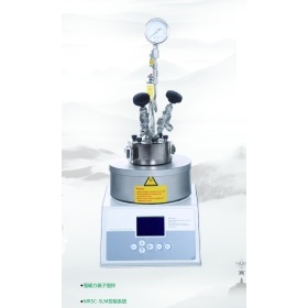 SLM50微型高压反应釜的图片