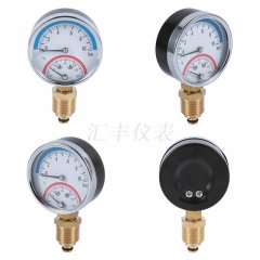 Y63A温度压力表的图片