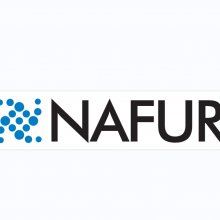 NAFUR无机锌离子抗菌防霉剂的图片
