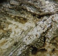 含铋焊料的图片