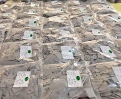 导热矽胶布T0-22A的图片